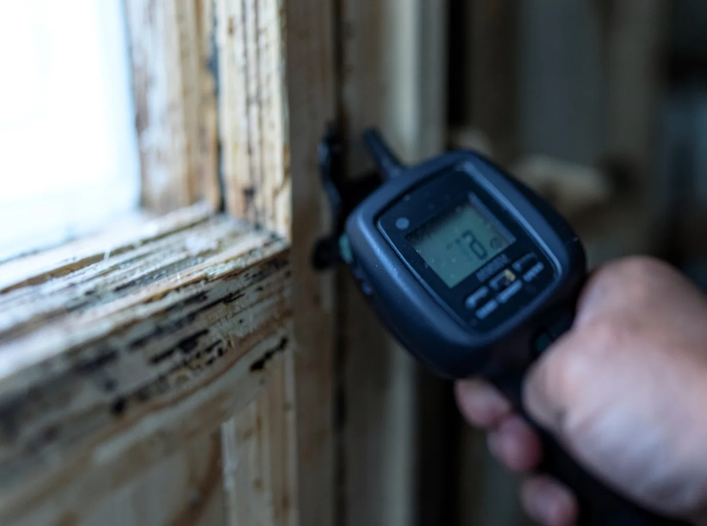 Moisture Inspection And Documentation in Woodland, MS